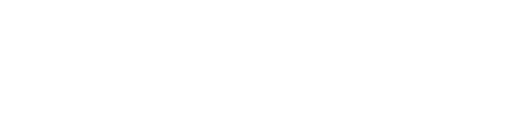 maverix-white.png
